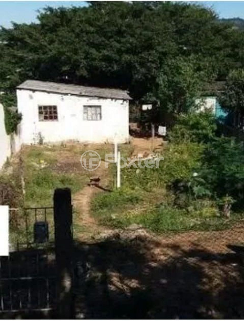 Foto 1
