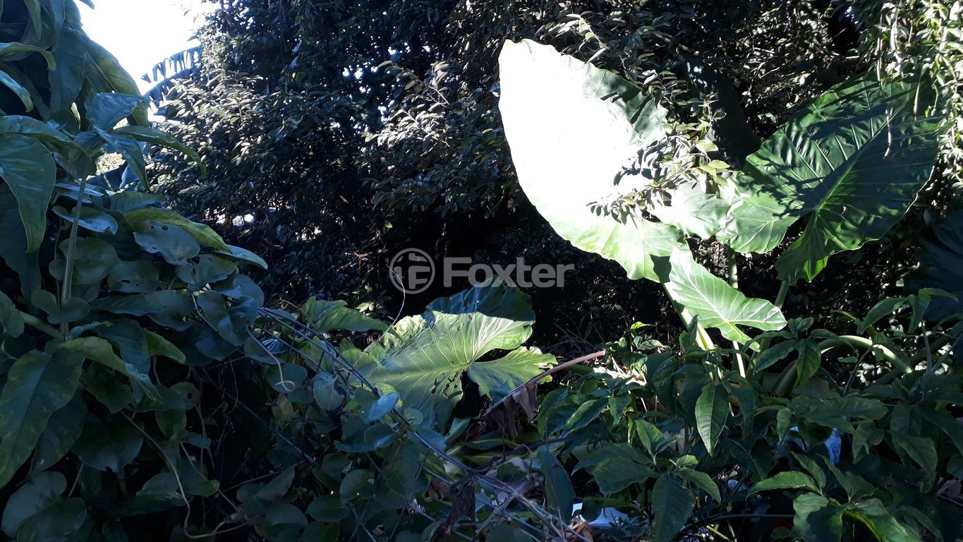 terreno lote condominio para comprar em Professor Oscar Pereira, 1737 - foto 6