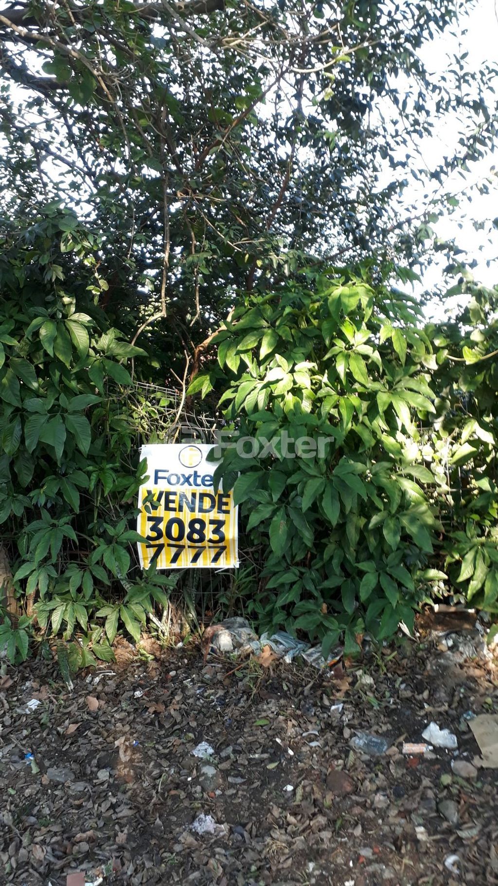 terreno lote condominio para comprar em Professor Oscar Pereira, 1737 - foto 8