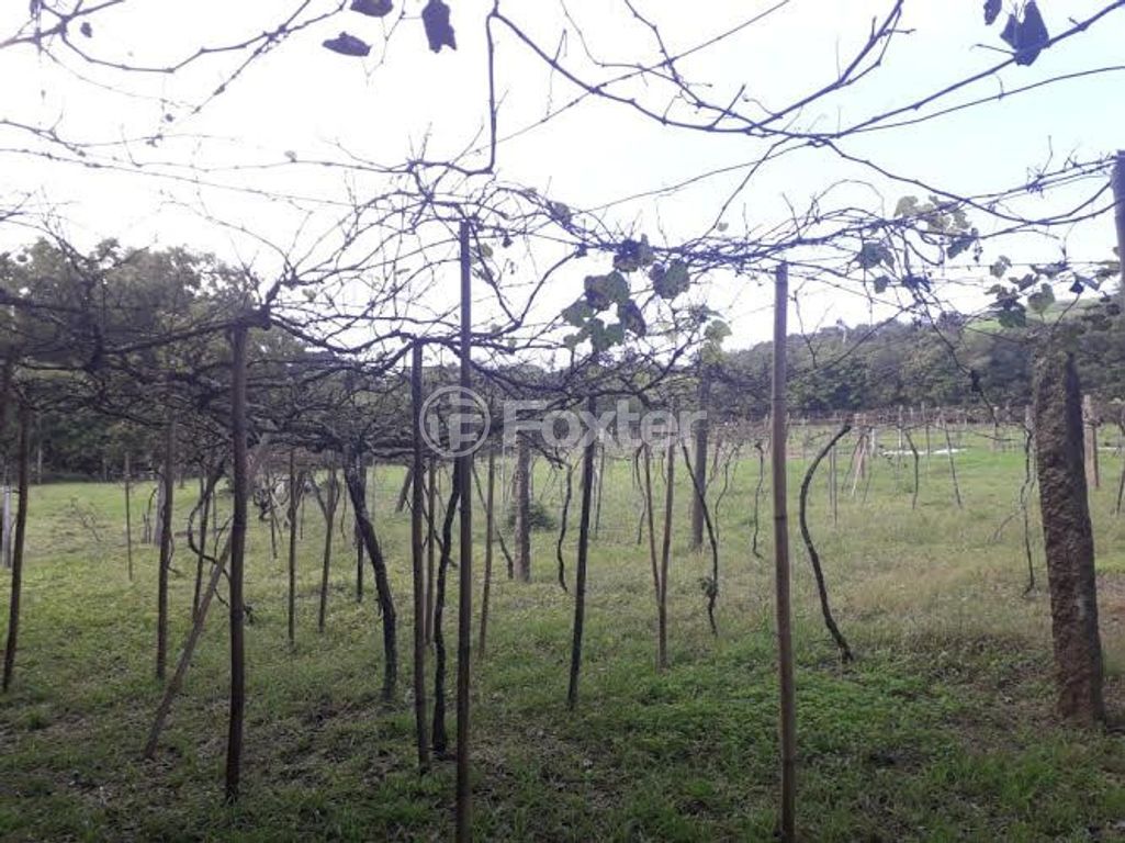 terreno lote condominio para comprar em Belém Velho, 3580 - foto 6