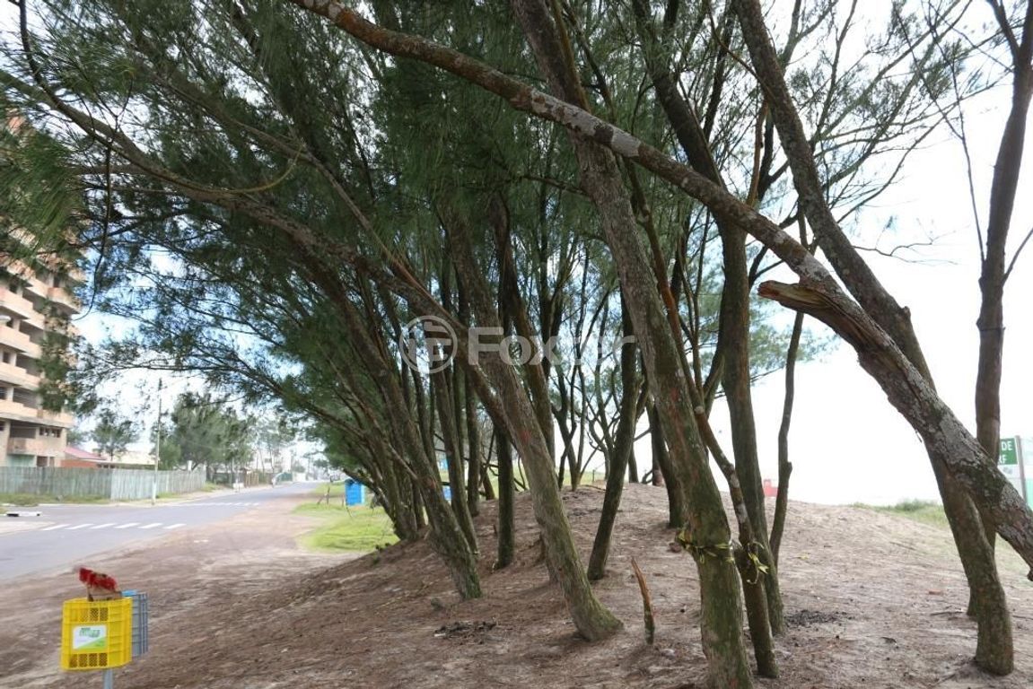 Foto 0