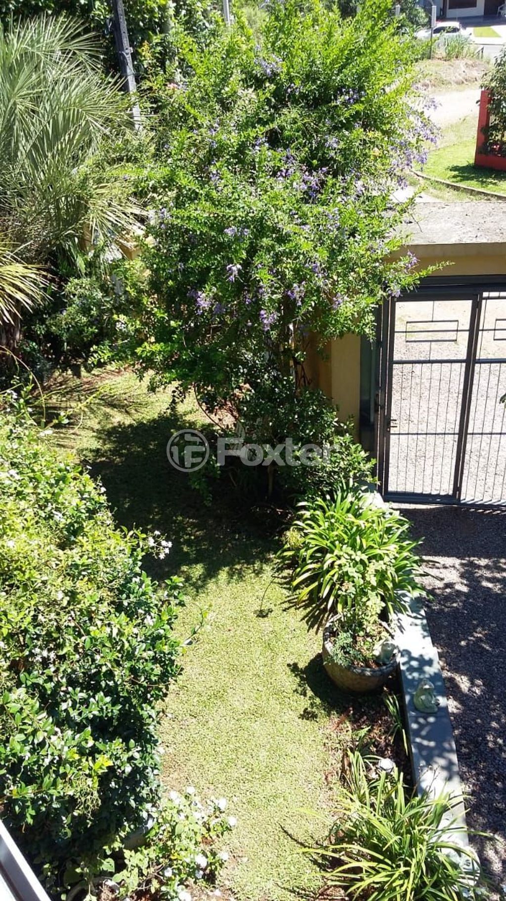 casa sobrado para comprar em Saxônia, 59 - foto 10