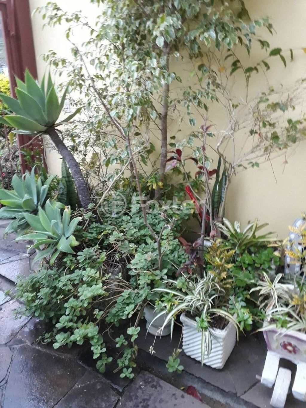 casa sobrado para comprar em Panambi, 185 - foto 28