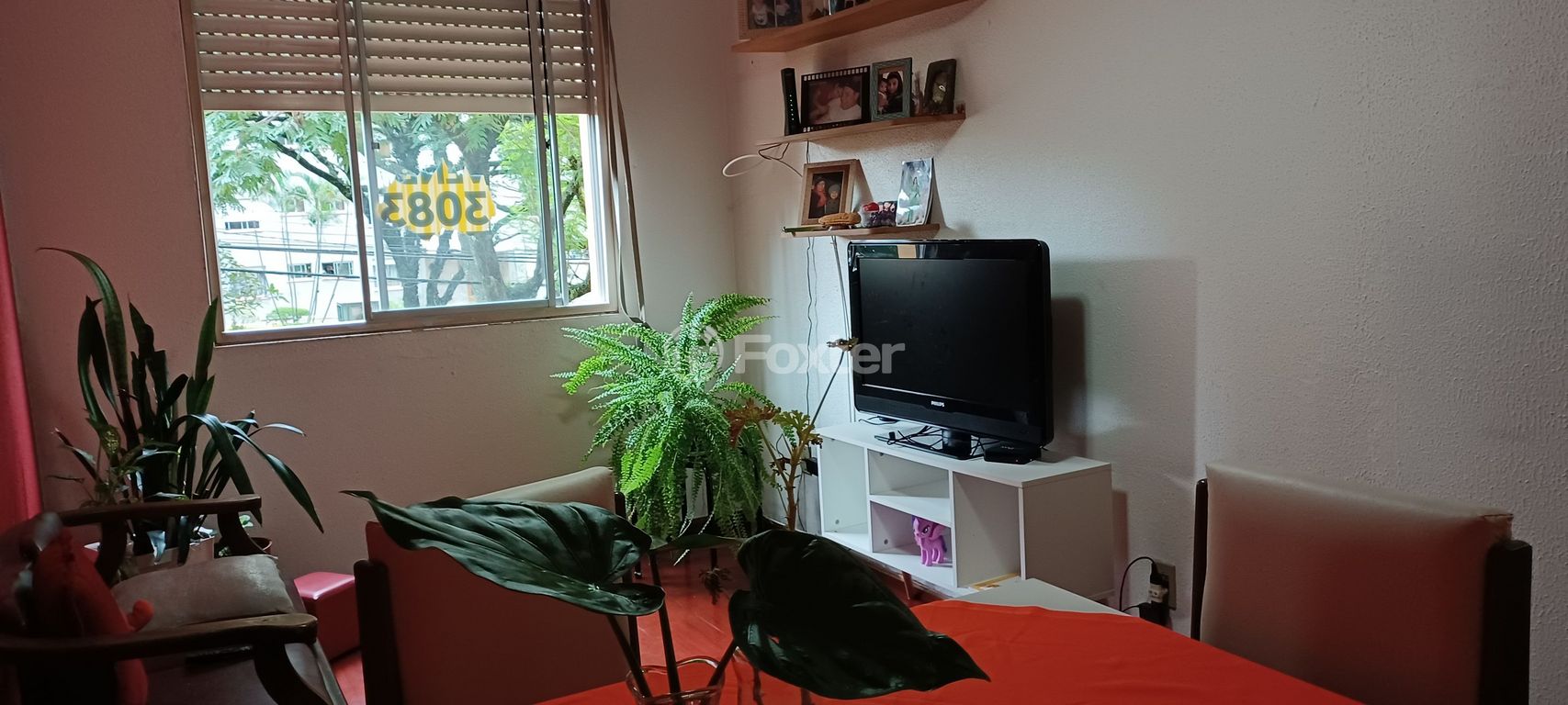 Foto 0