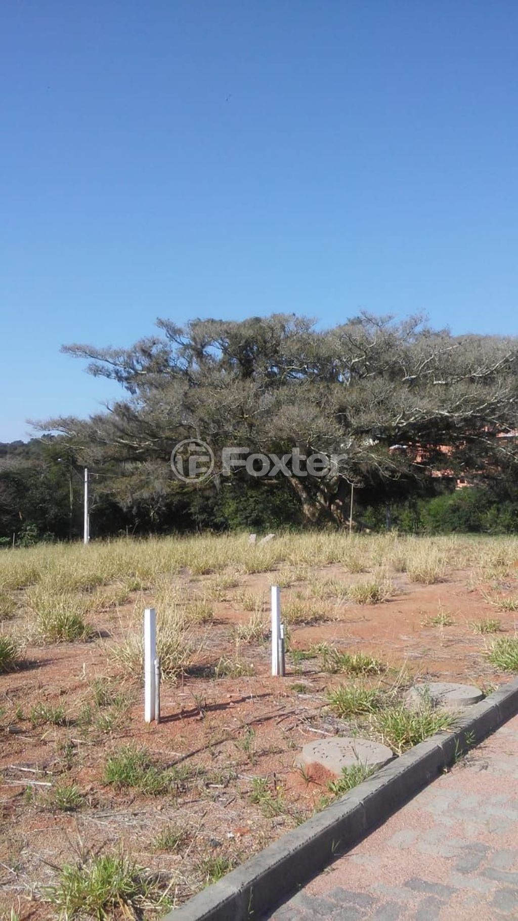 terreno lote condominio para comprar em Jorge Pereira Nunes, 1720 - foto 11