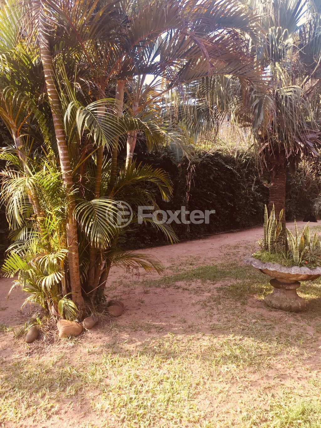 casa sobrado para comprar em Martinho Poeta, 1215 - foto 19