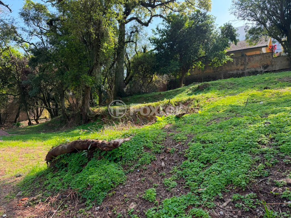 terreno lote condominio para comprar em Curupaiti, 325 - foto 8