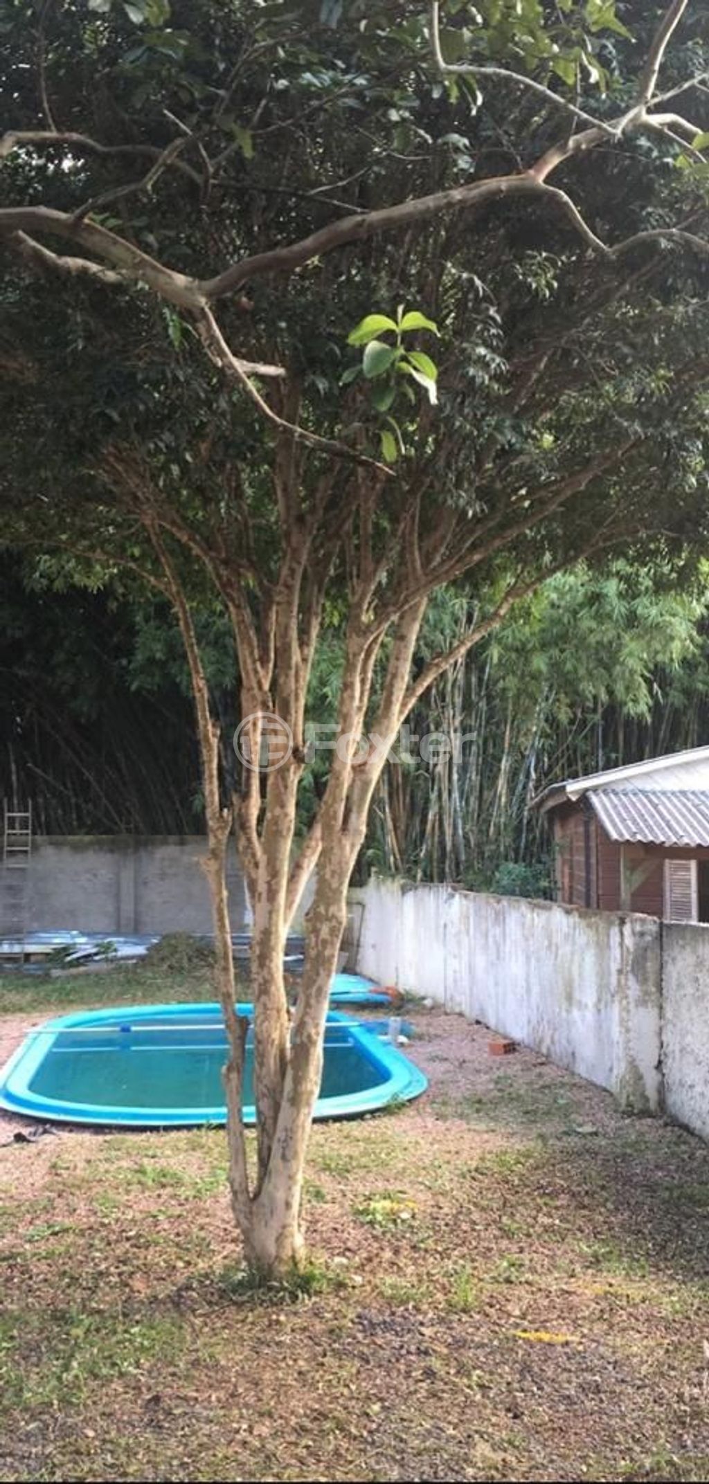 casa sobrado para comprar em Dolores Duran, 159 - foto 22