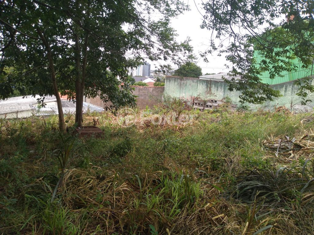 terreno lote condominio para comprar em Maurício Seligman, 557 - foto 9