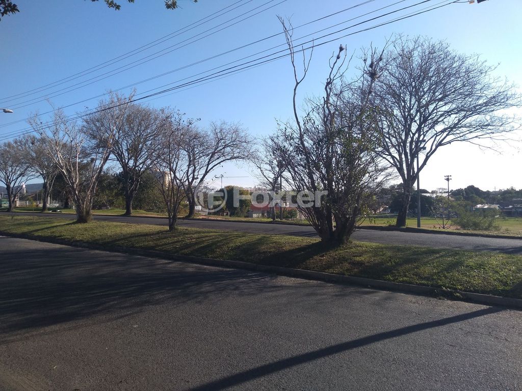 terreno lote condominio para comprar em Maurício Seligman, 557 - foto 7
