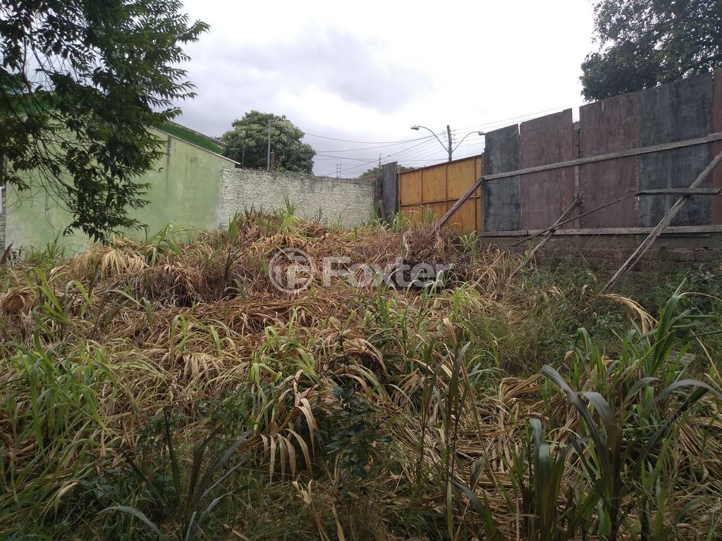 terreno lote condominio para comprar em Maurício Seligman, 557 - foto 10