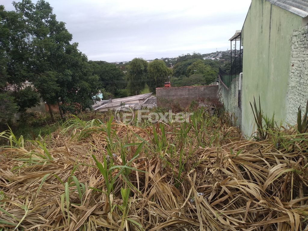 terreno lote condominio para comprar em Maurício Seligman, 557 - foto 13