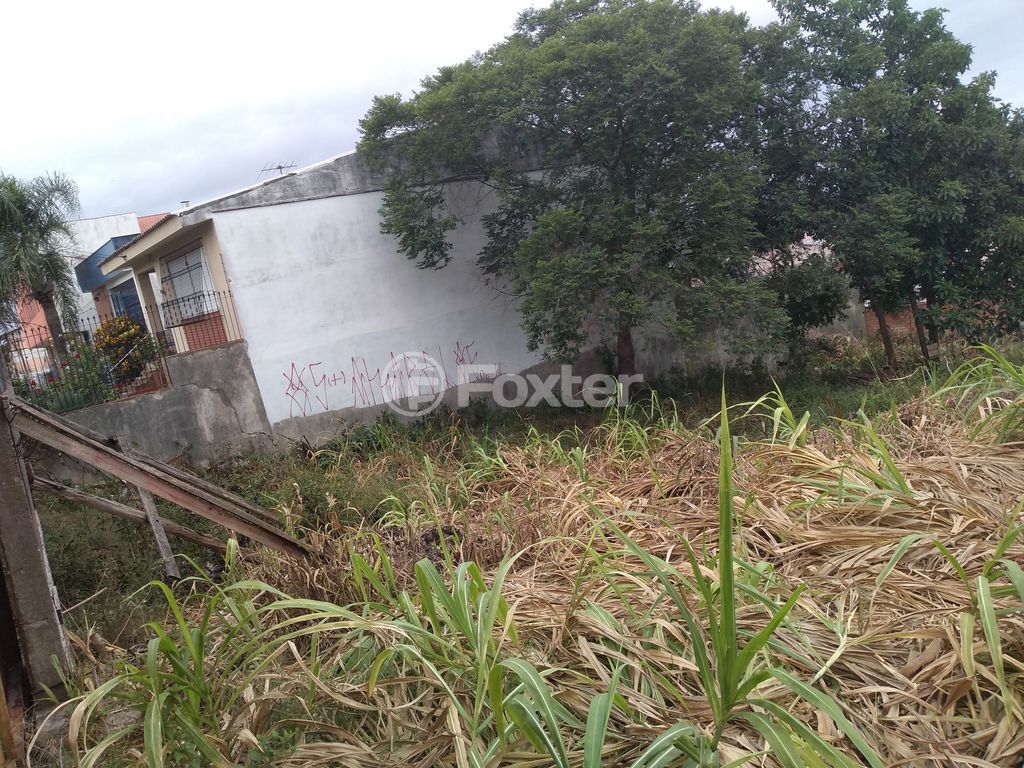 terreno lote condominio para comprar em Maurício Seligman, 557 - foto 14