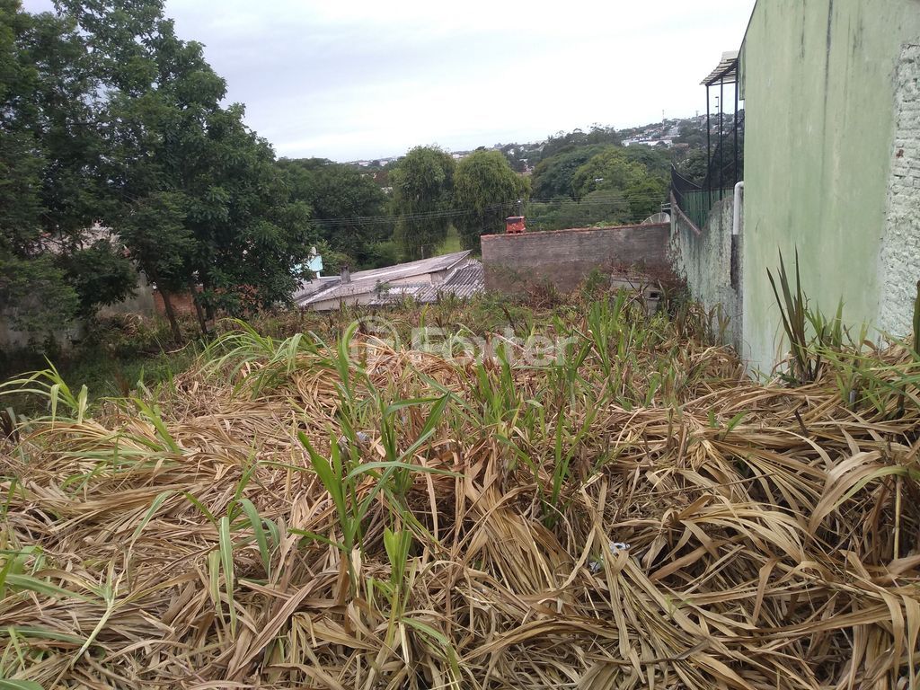 terreno lote condominio para comprar em Maurício Seligman, 557 - foto 15