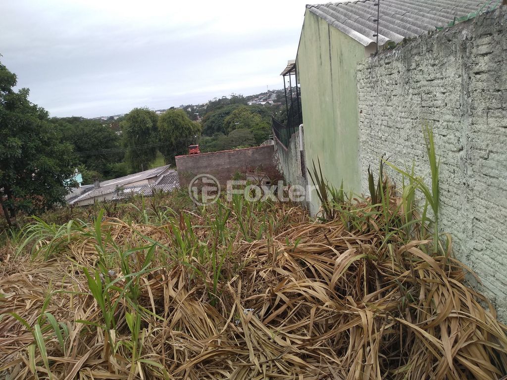 terreno lote condominio para comprar em Maurício Seligman, 557 - foto 12