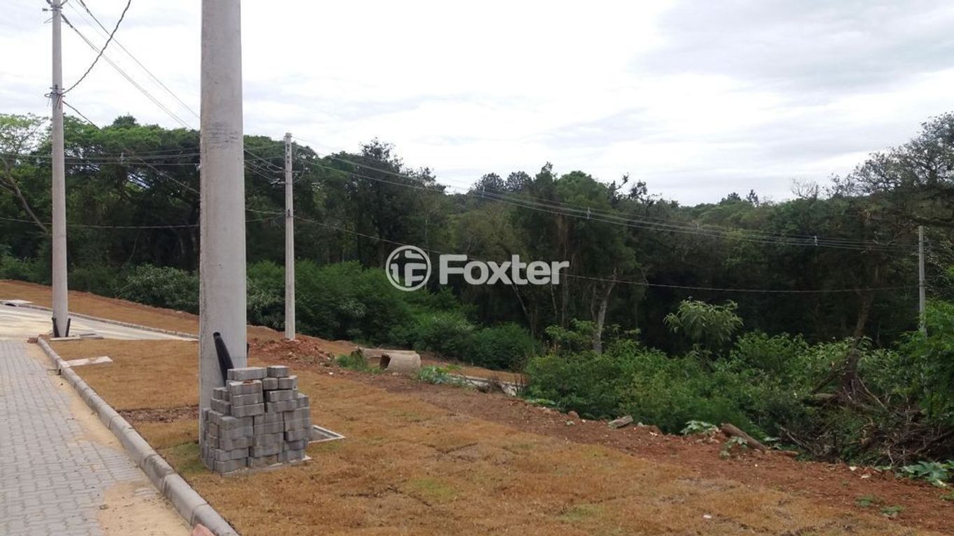 terreno lote condominio para comprar em Senador Salgado Filho, 5087 - foto 14