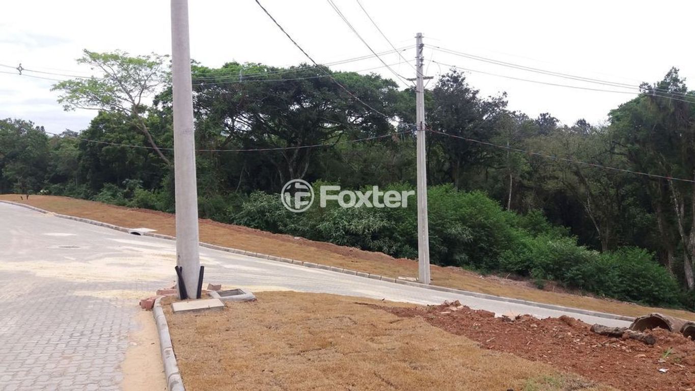 terreno lote condominio para comprar em Senador Salgado Filho, 5087 - foto 17