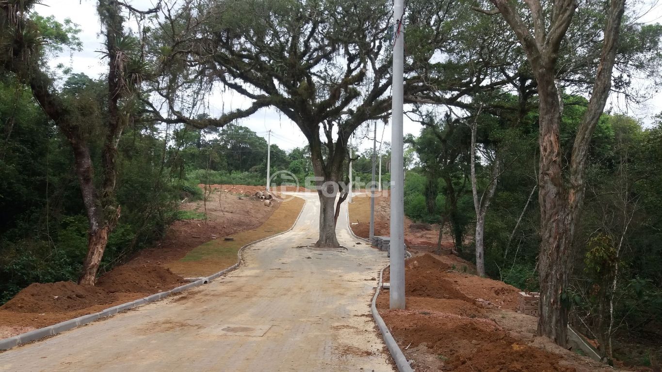 terreno lote condominio para comprar em Senador Salgado Filho, 5087 - foto 30
