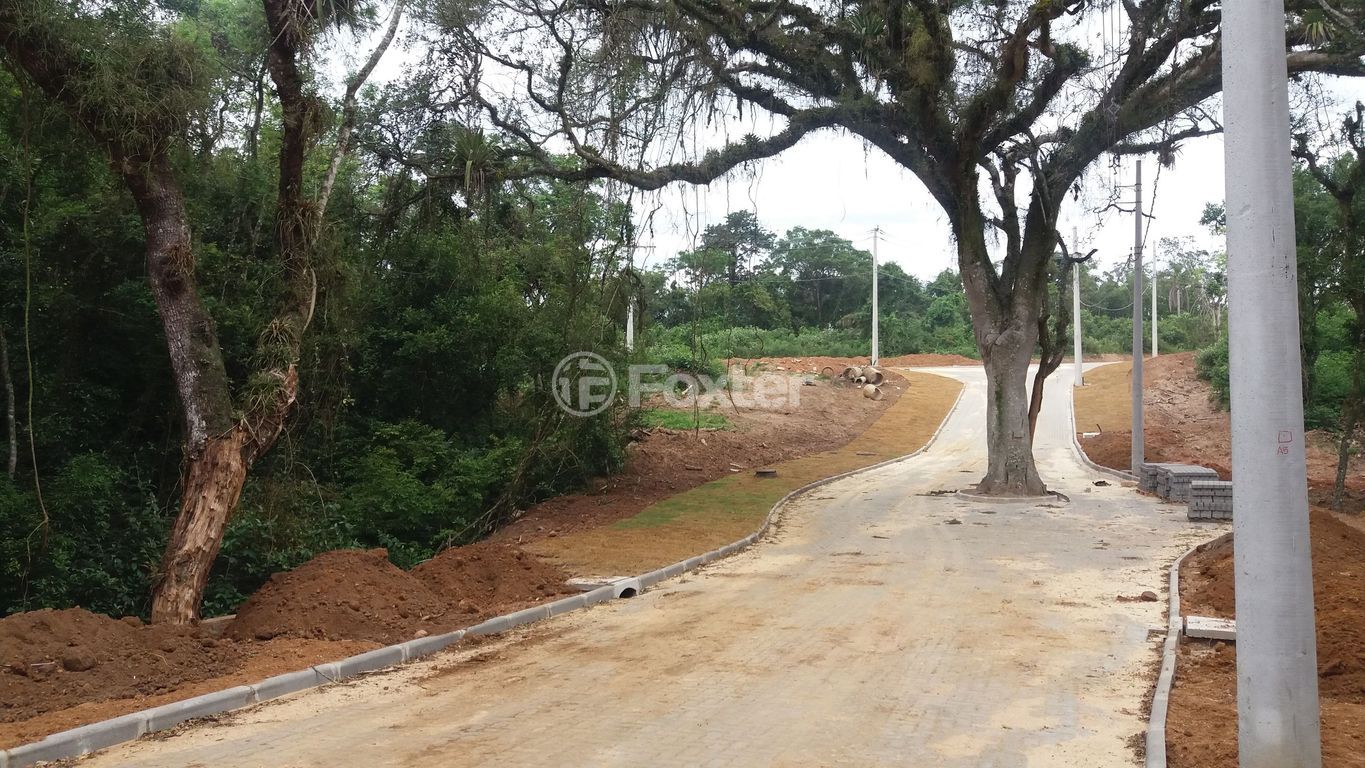 terreno lote condominio para comprar em Senador Salgado Filho, 5087 - foto 28