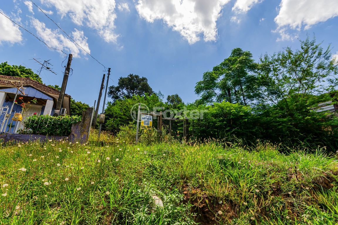 terreno lote condominio para comprar em Cristiano Kraemer, 413 - foto 46