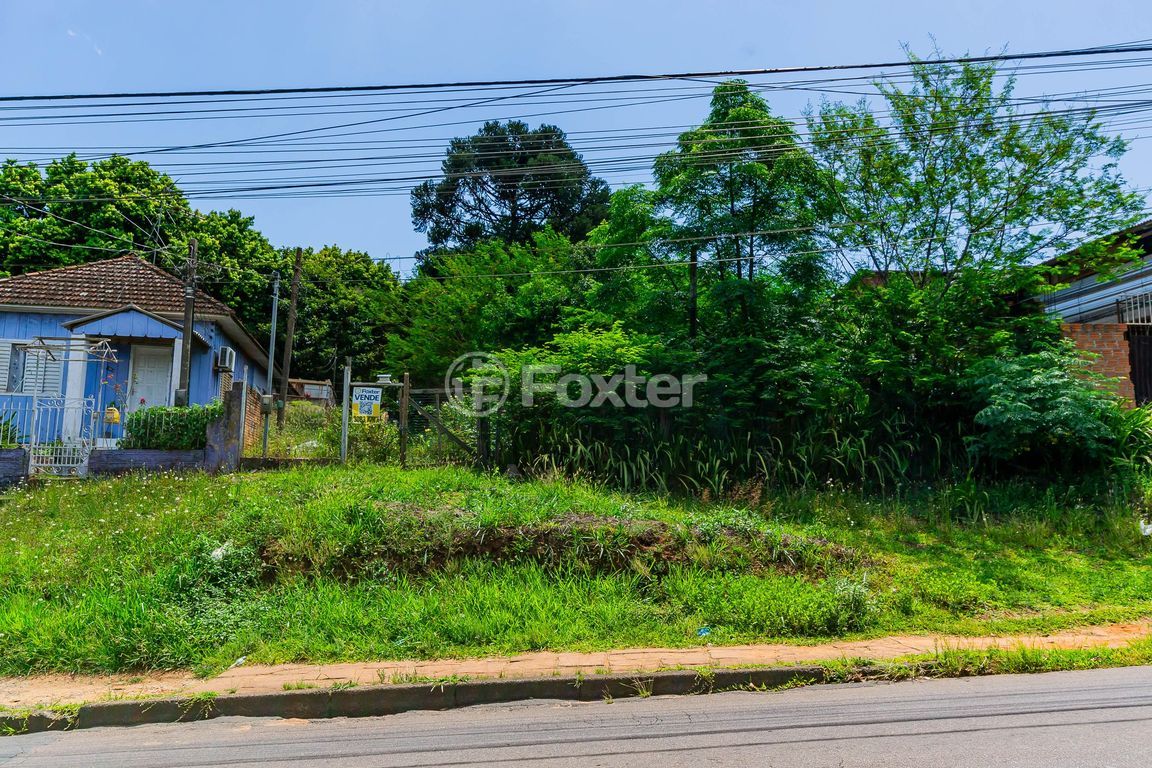 terreno lote condominio para comprar em Cristiano Kraemer, 413 - foto 44