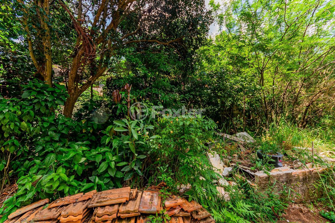 terreno lote condominio para comprar em Cristiano Kraemer, 413 - foto 7