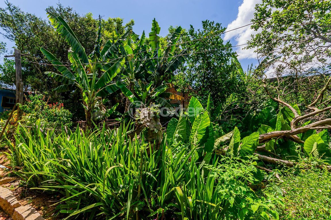 terreno lote condominio para comprar em Cristiano Kraemer, 413 - foto 20