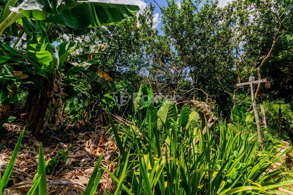 terreno lote condominio para comprar em Cristiano Kraemer, 413 - foto 22