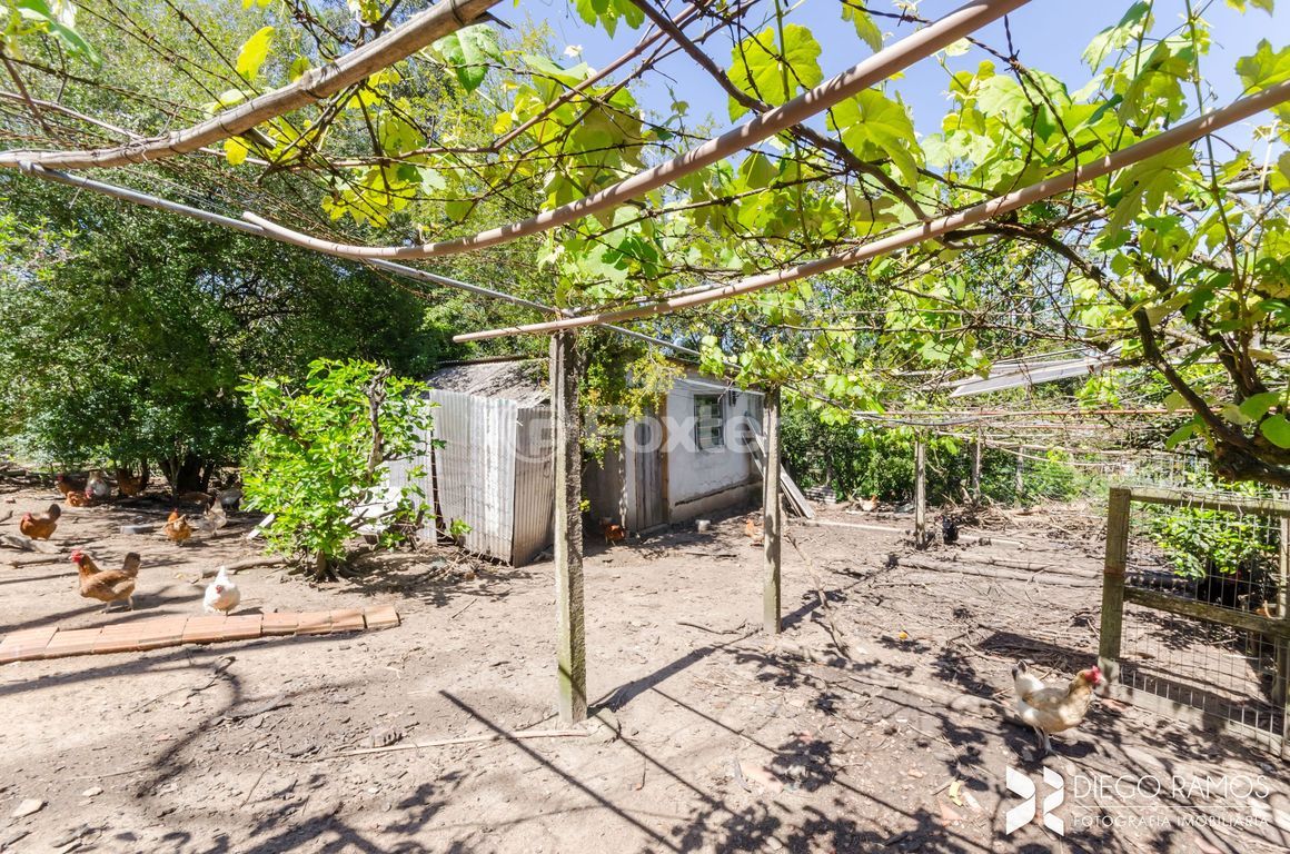 sitio chachara fazenda para comprar em Alda de Oliveira Ribas, 74 - foto 19
