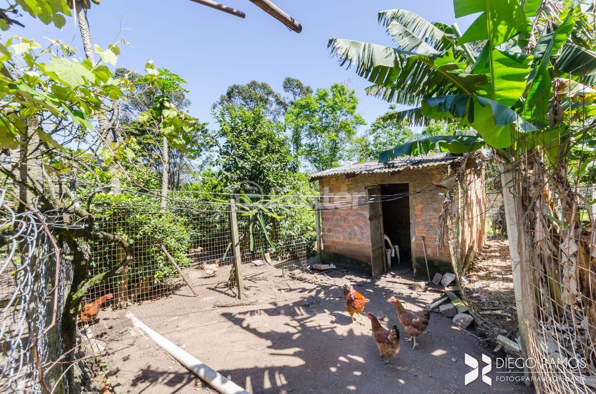 sitio chachara fazenda para comprar em Alda de Oliveira Ribas, 74 - foto 20