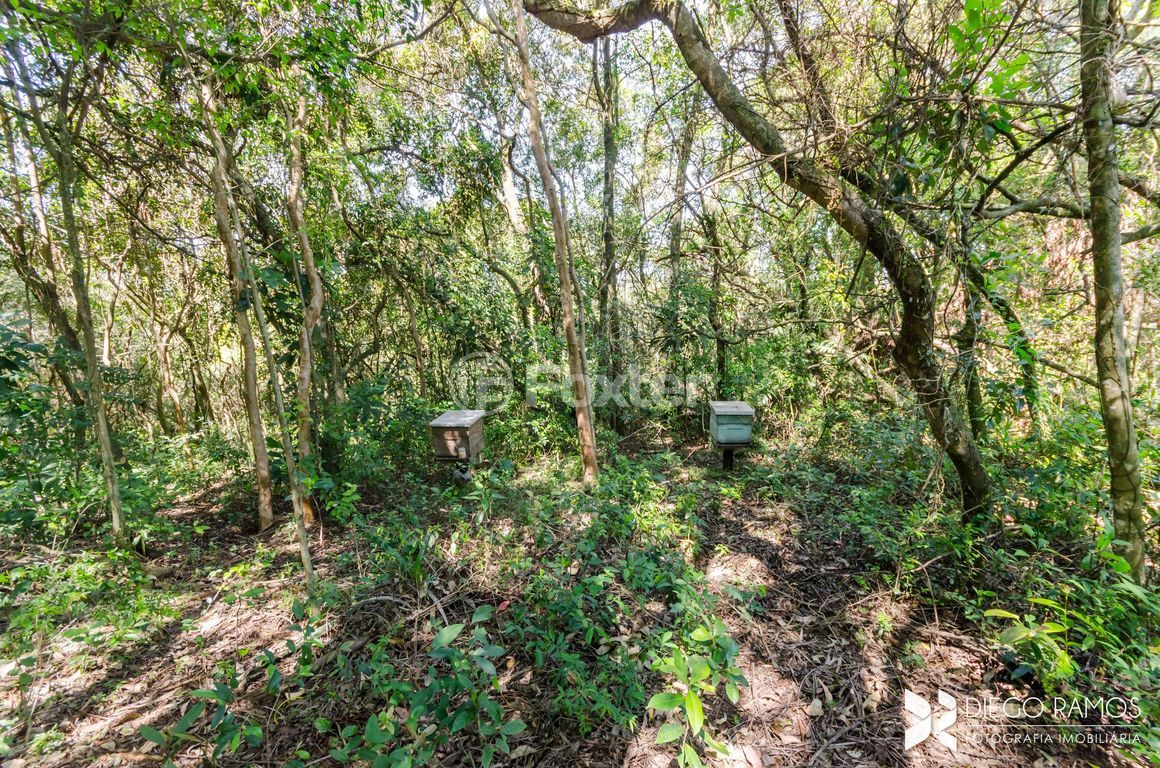 sitio chachara fazenda para comprar em Alda de Oliveira Ribas, 74 - foto 22