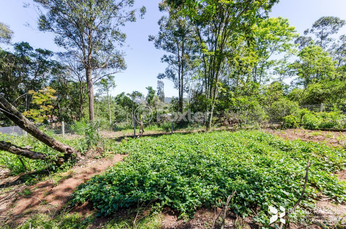 sitio chachara fazenda para comprar em Alda de Oliveira Ribas, 74 - foto 23