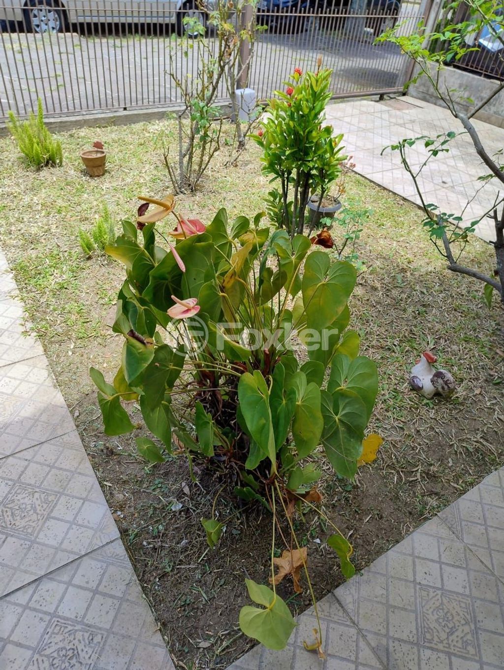 casa sobrado para comprar em Circular, 778 - foto 28