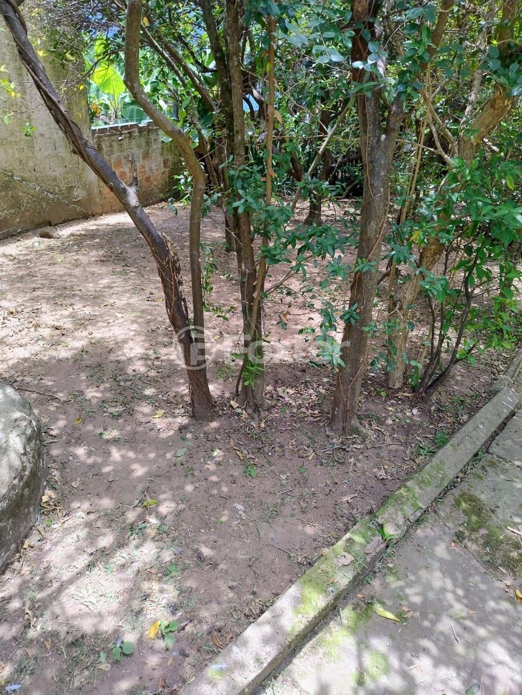 casa sobrado para comprar em Circular, 778 - foto 33