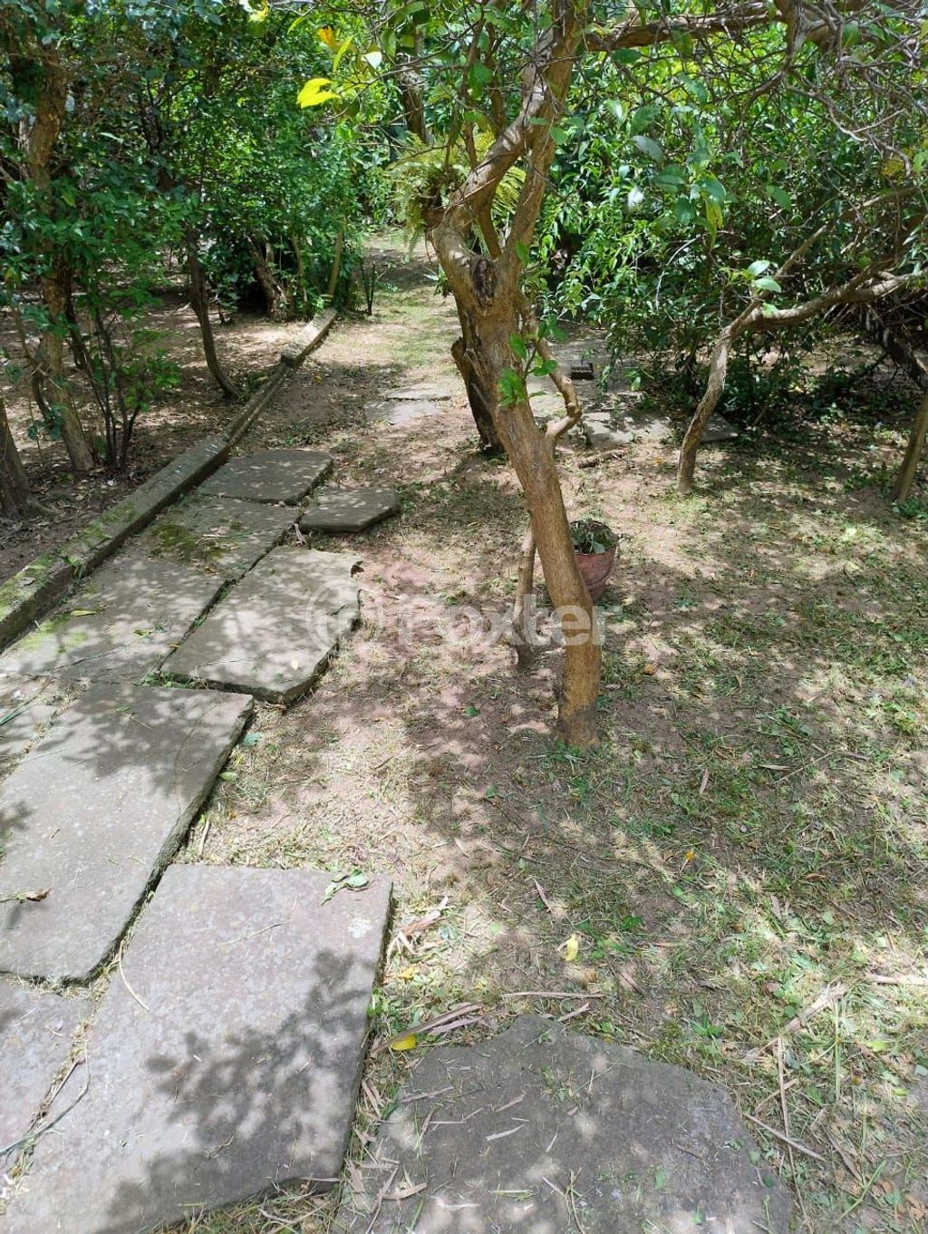 casa sobrado para comprar em Circular, 778 - foto 32