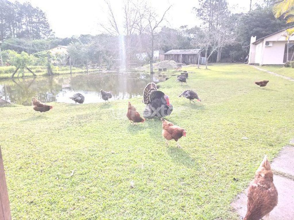 sitio chachara fazenda para comprar em Adroaldo de Souza Santos, 12 - foto 25