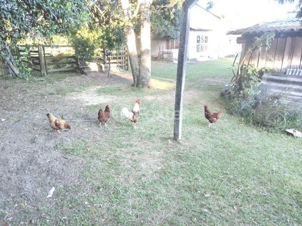 sitio chachara fazenda para comprar em Adroaldo de Souza Santos, 12 - foto 23