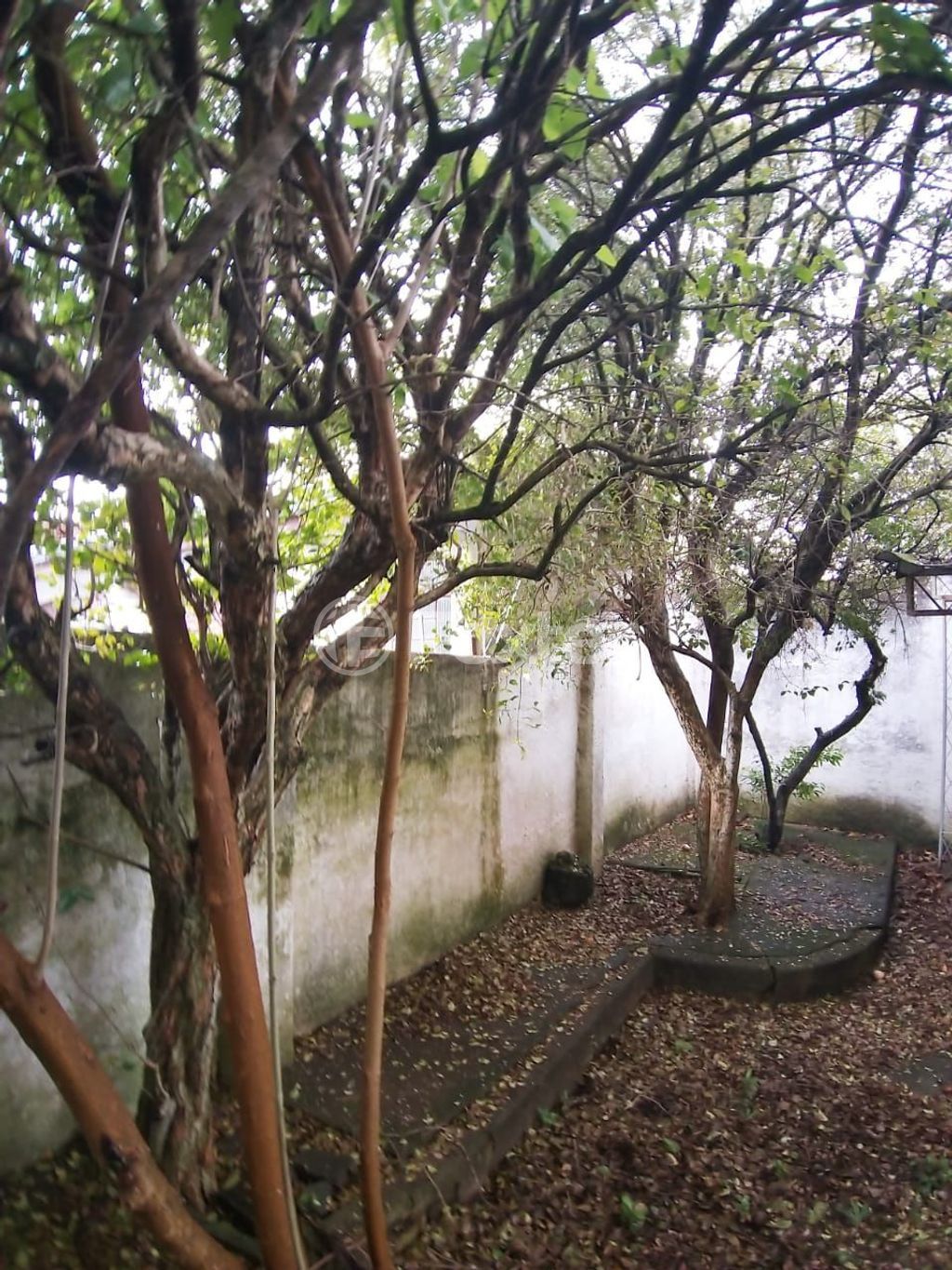 casa sobrado para comprar em Marechal Bormann, 88 - foto 36