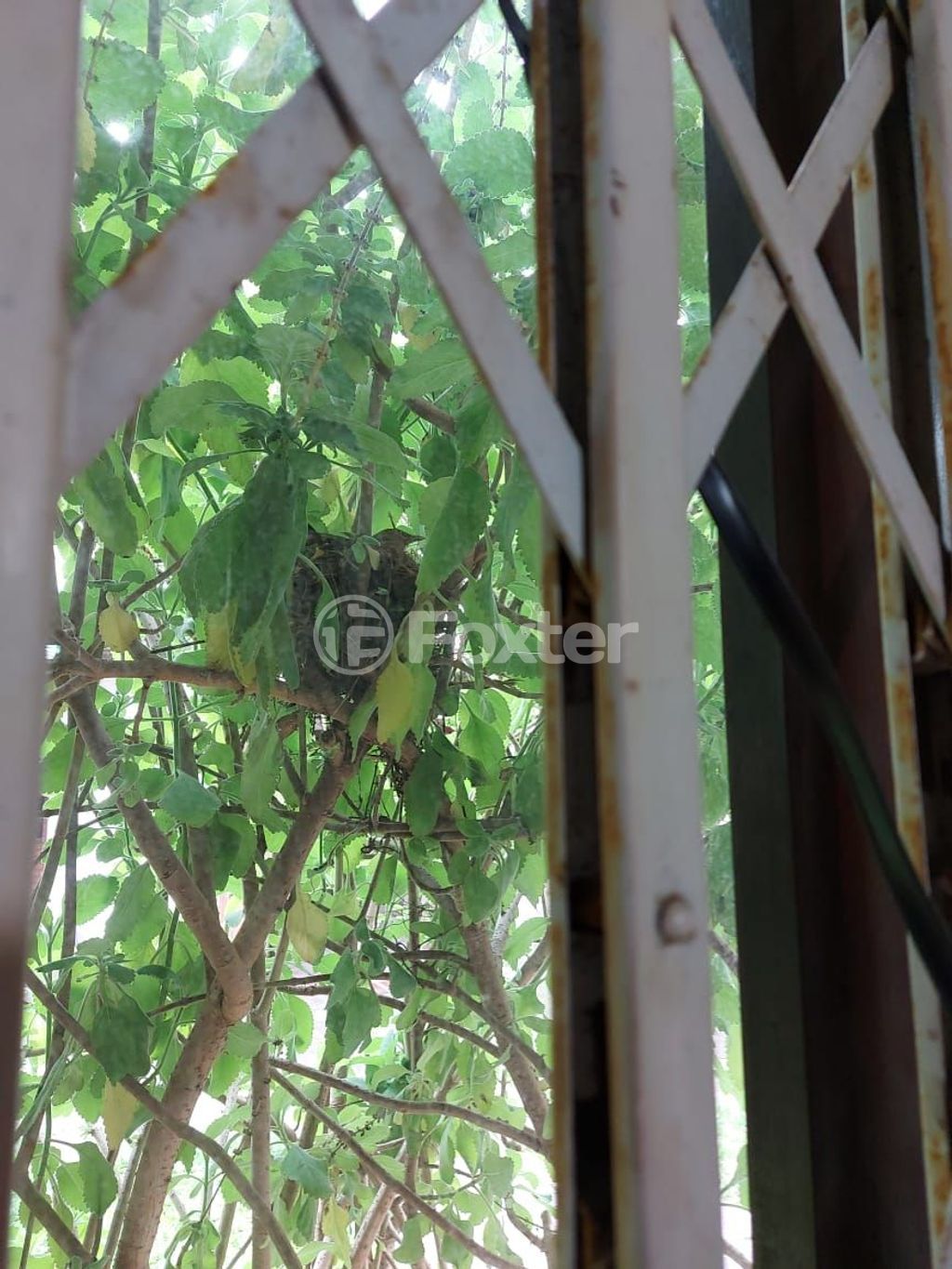 casa sobrado para comprar em Gaston Englert, 285 - foto 25