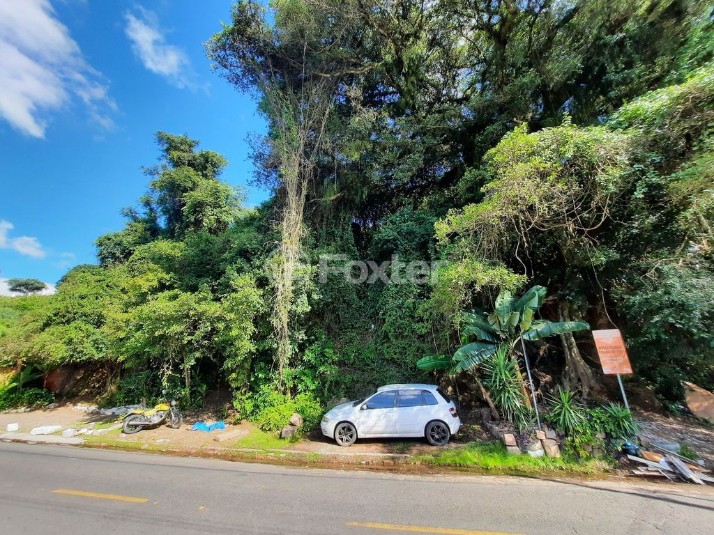 terreno lote condominio para comprar em Guaíba, 3156 - foto 7