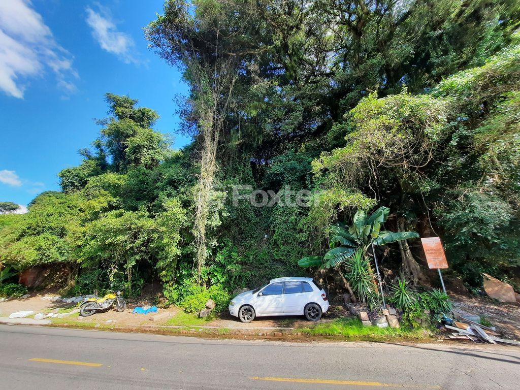 terreno lote condominio para comprar em Guaíba, 3156 - foto 8