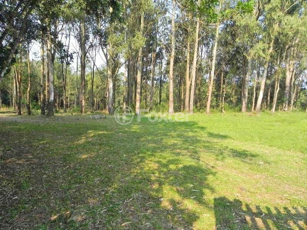 sitio chachara fazenda para comprar em Passo da Batalha, 1820 - foto 27