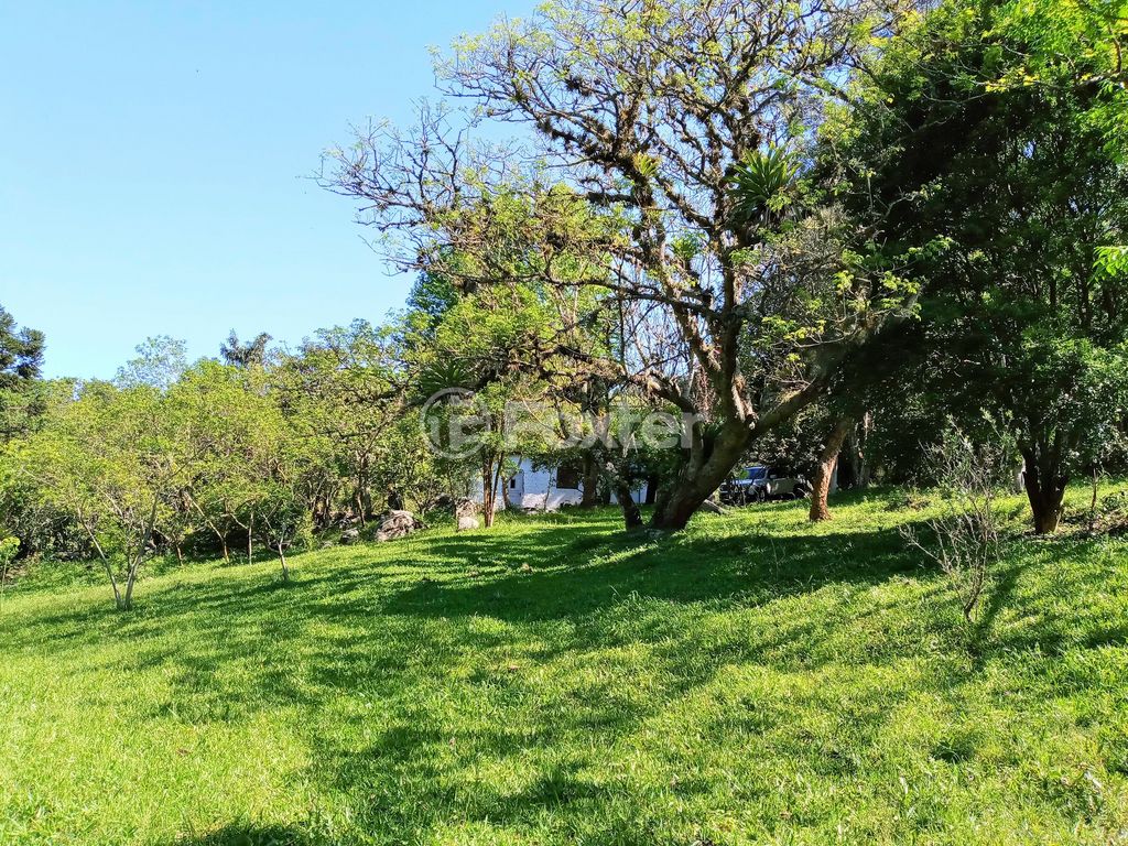 Foto do Anuncio
