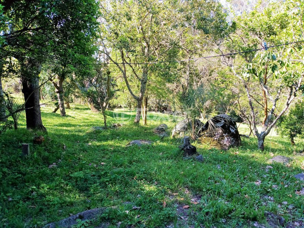 sitio chachara fazenda para comprar em Passo da Batalha, 1820 - foto 32