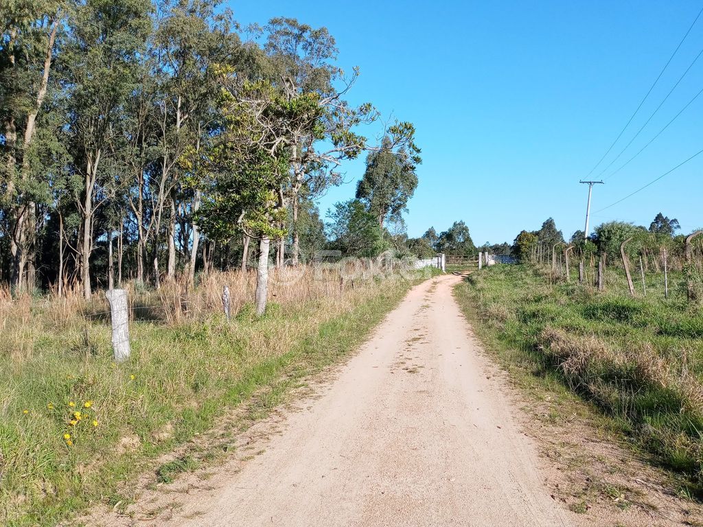 sitio chachara fazenda para comprar em Passo da Batalha, 1820 - foto 34