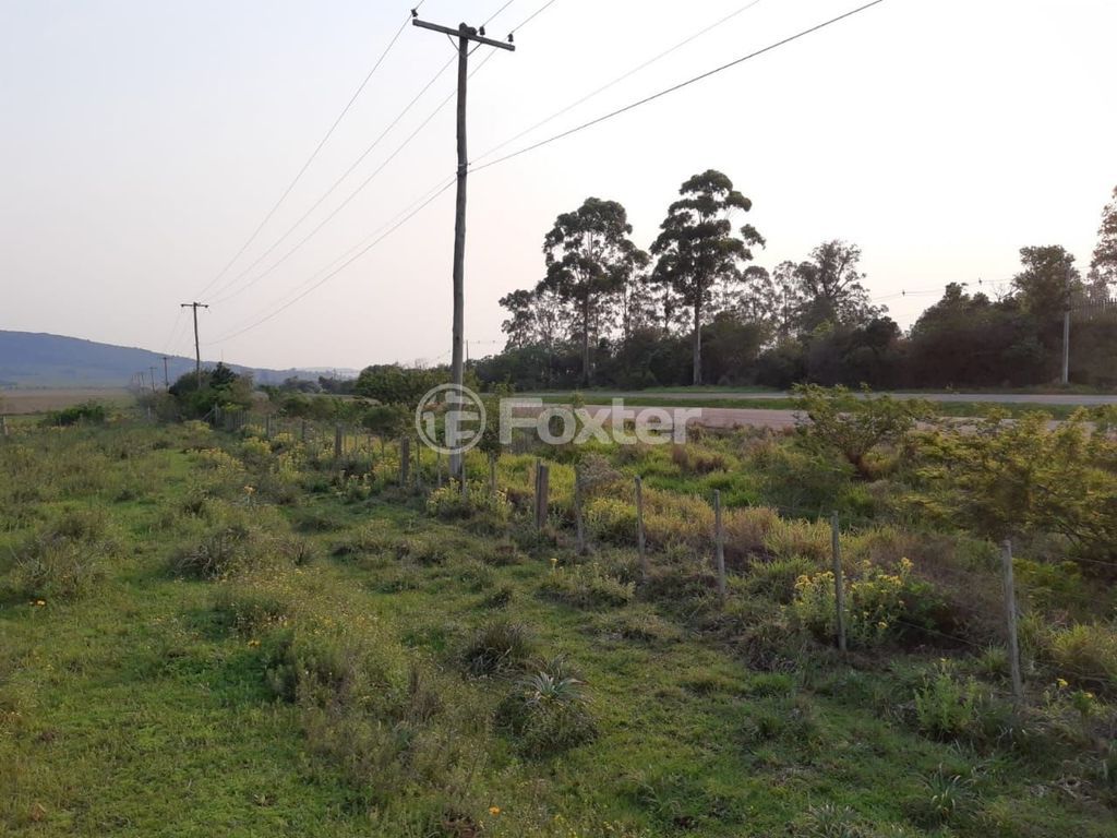 terreno lote condominio para comprar em BR 116, Km 303, Estrada da Restinga, 0 - foto 6