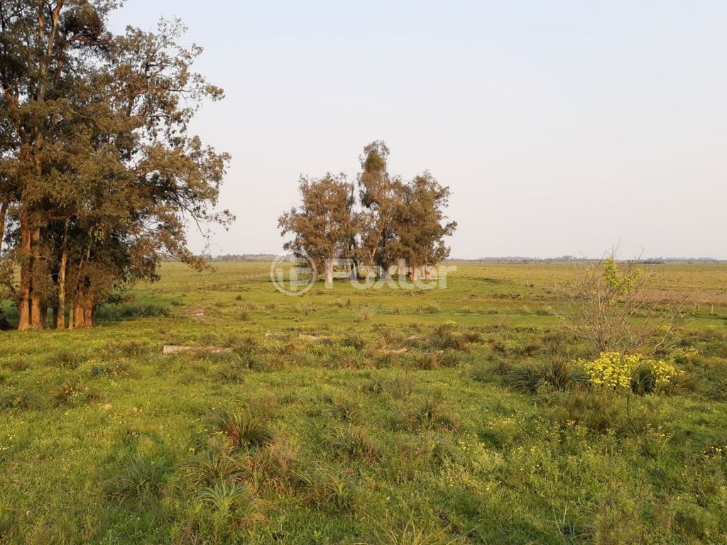 terreno lote condominio para comprar em BR 116, Km 303, Estrada da Restinga, 0 - foto 7