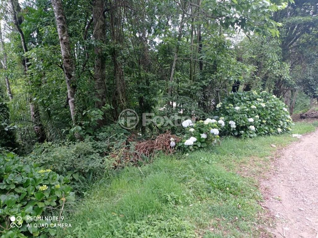 terreno lote condominio para comprar em 8 de Março, L07 - foto 6