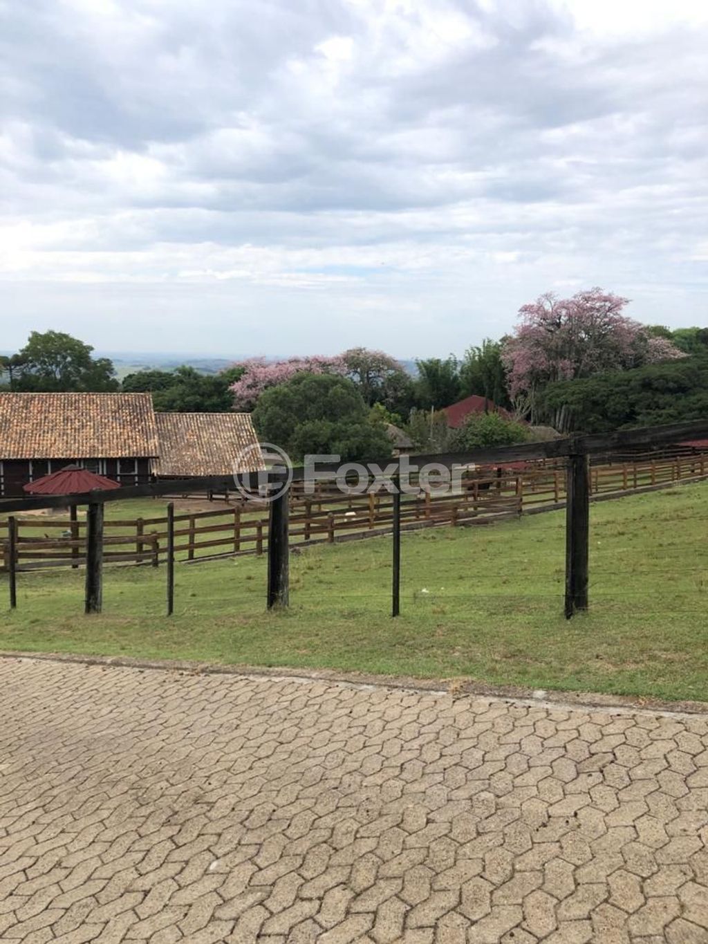 sitio chachara fazenda para comprar em Secundária Matias, 7470 - foto 12