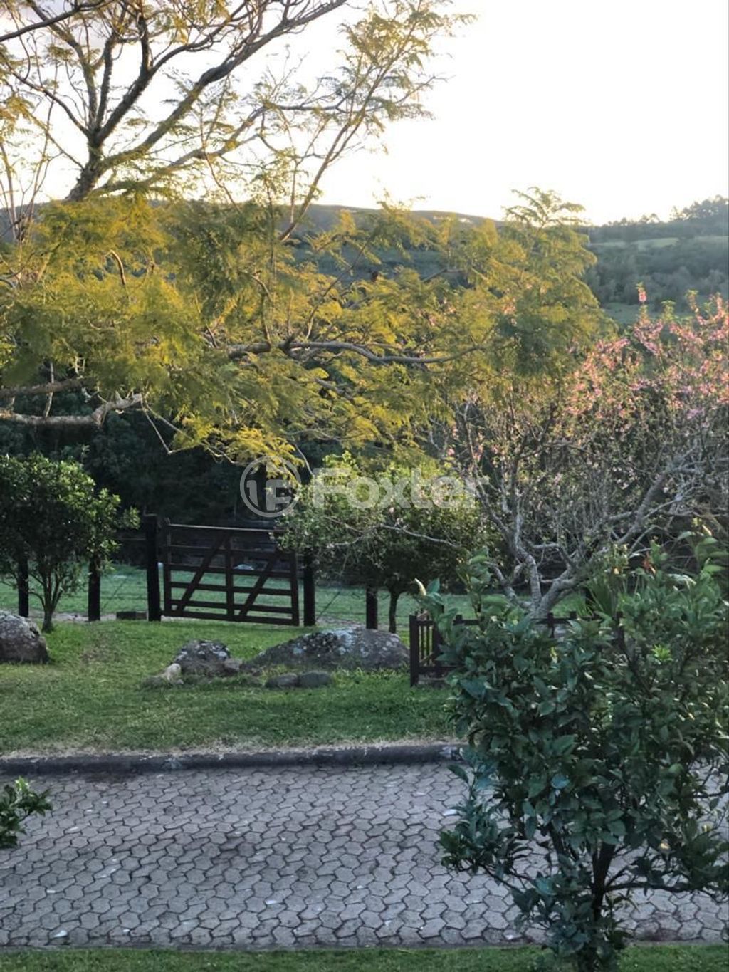 sitio chachara fazenda para comprar em Secundária Matias, 7470 - foto 17